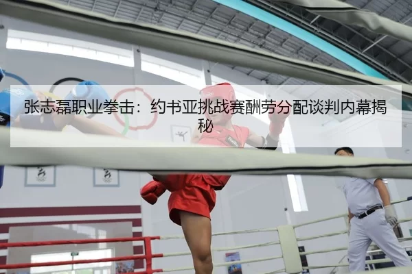 张志磊职业拳击：约书亚挑战赛酬劳分配谈判内幕揭秘