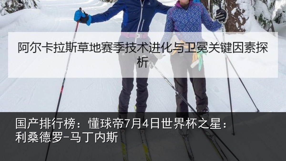 国产排行榜：懂球相关情况：利桑德罗-马丁内斯