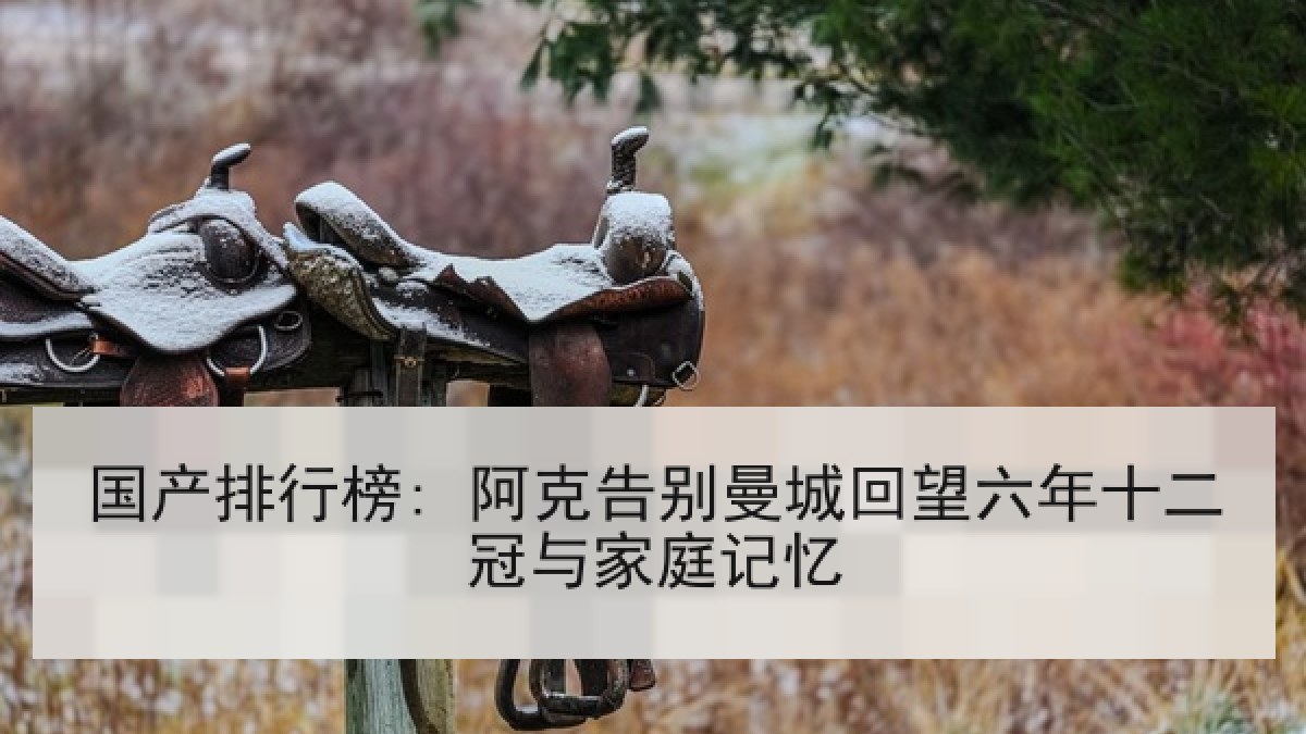 国产排行榜: 阿克告别曼城回望六年十二冠与家庭记忆
