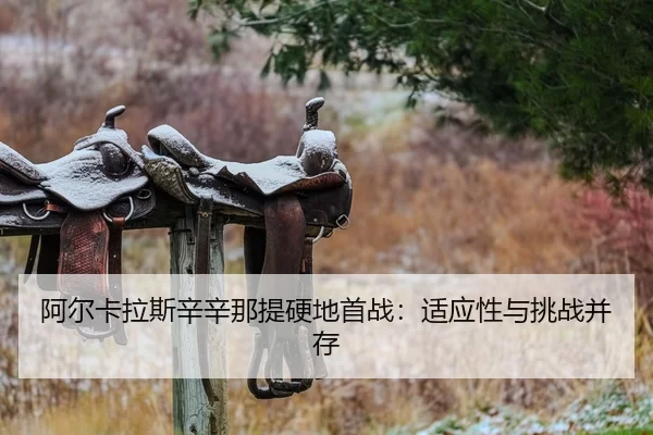 阿尔卡拉斯辛辛那提硬地首战：适应性与挑战并存