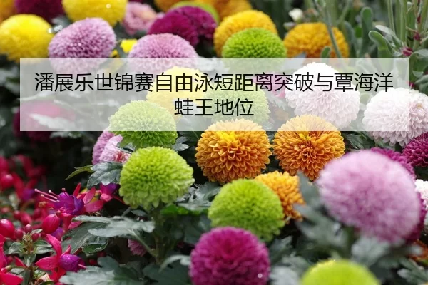 潘展乐世锦赛自由泳短距离突破与覃海洋蛙王地位